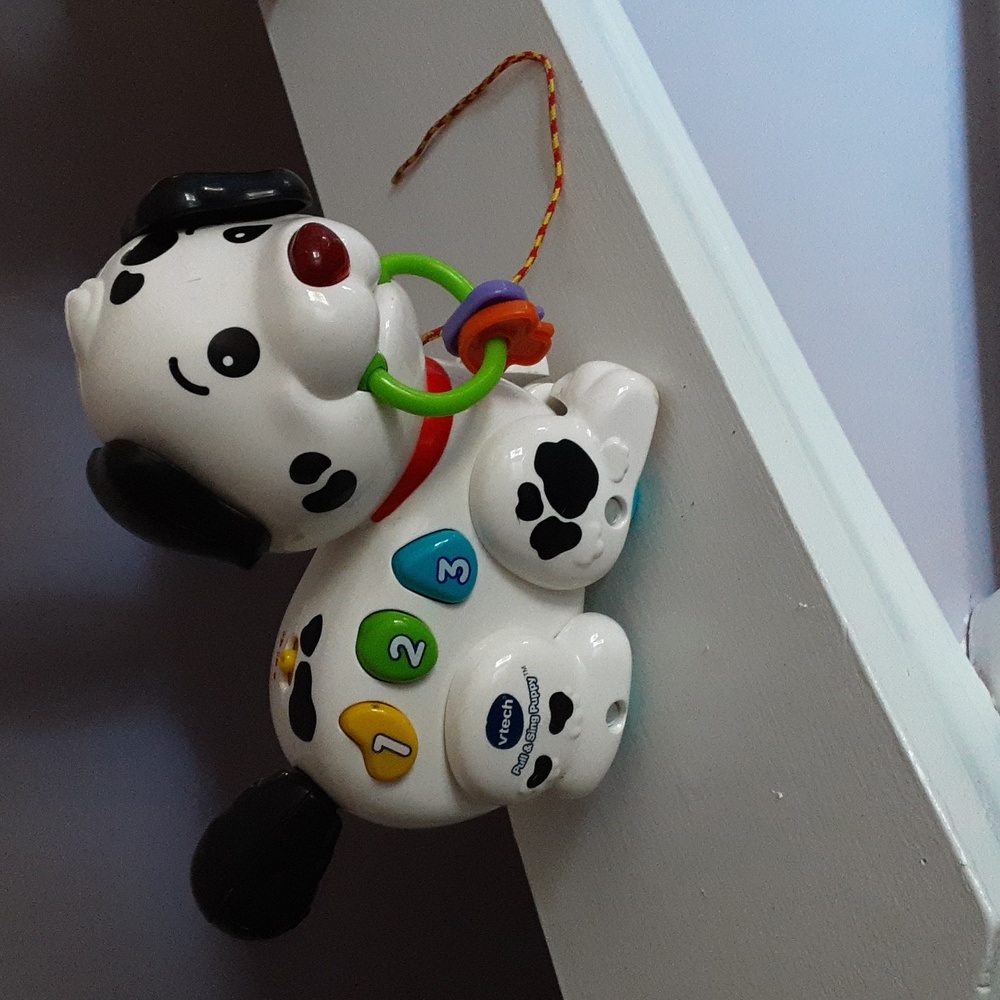 Vtech pull & sing puppy learning toy.